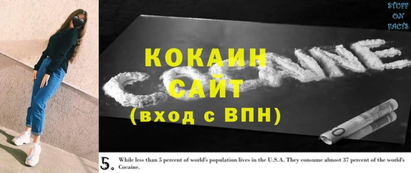 прущие грибы Наволоки
