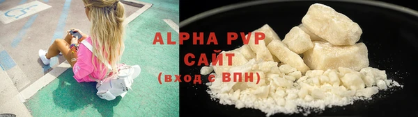 прущие грибы Наволоки