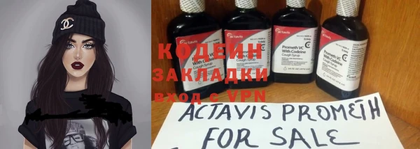 мяу мяу мука Михайлов