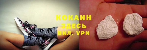 прущие грибы Наволоки