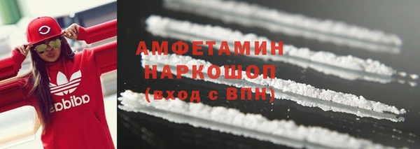 прущие грибы Наволоки