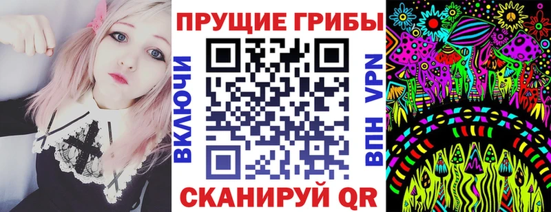 Галлюциногенные грибы Magic Shrooms  площадка телеграм  Никольск 